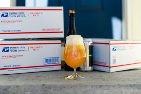 beer delivered to consumers home ( x )