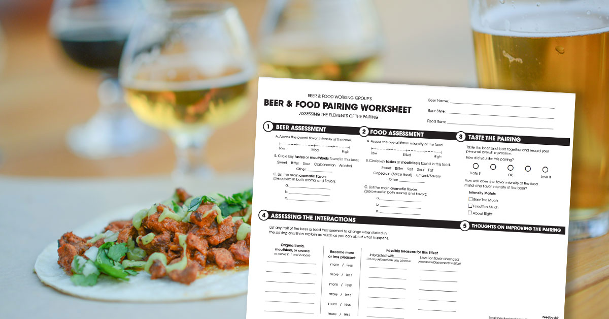 beer food pairing worksheet