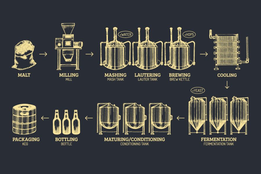 infographic of the brewing process