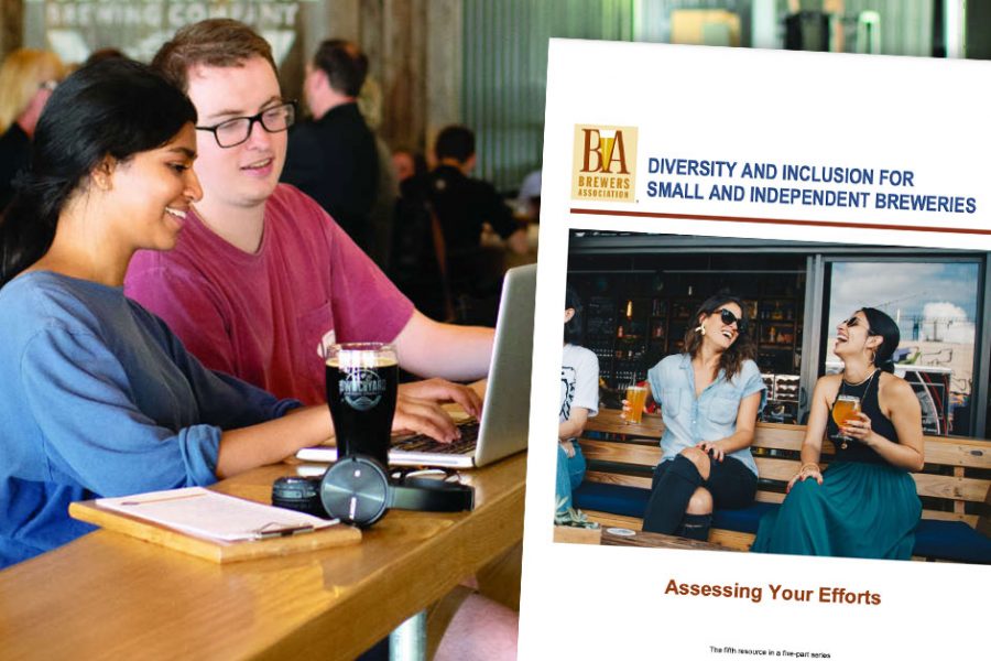 diversity assessing your efforts educational publication