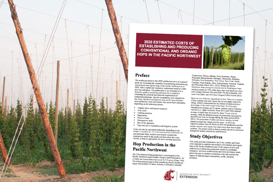 Cost of Hop Production paper in front of hop trellises