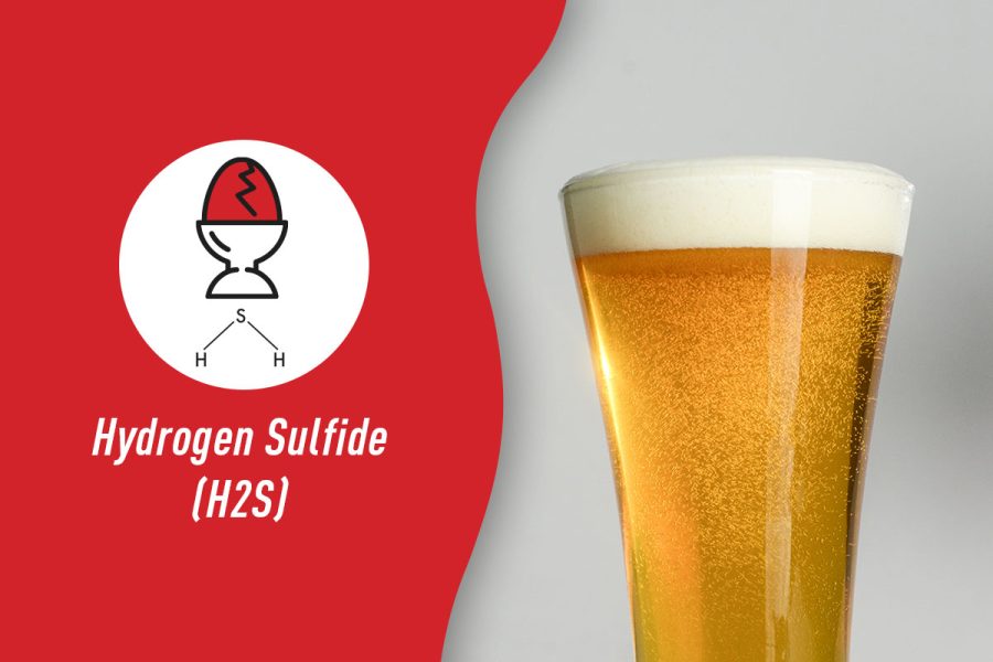 hydrogen sulfide icon and formula with a pilsner glass