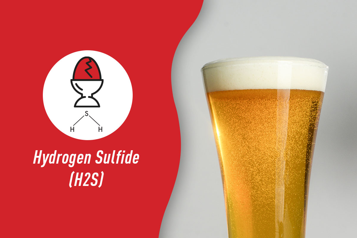 hydrogen sulfide icon and formula with a pilsner glass