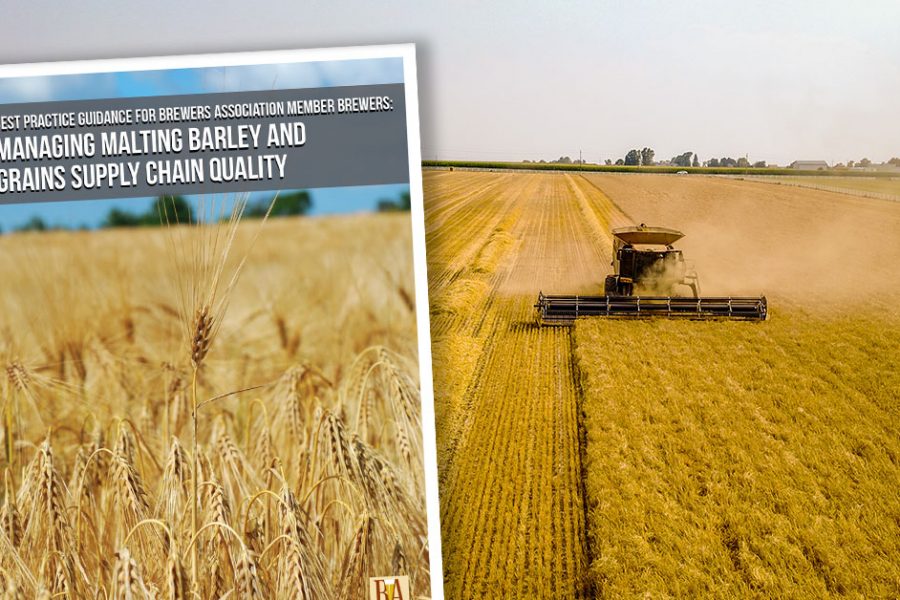 malt supply chain educational publication