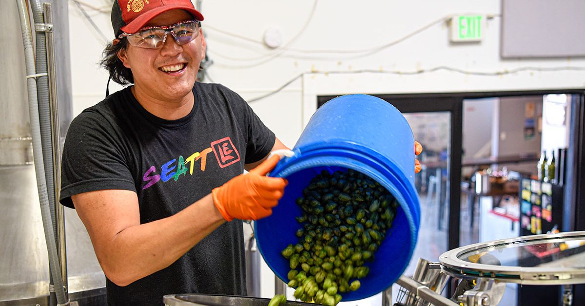 man pouring hops