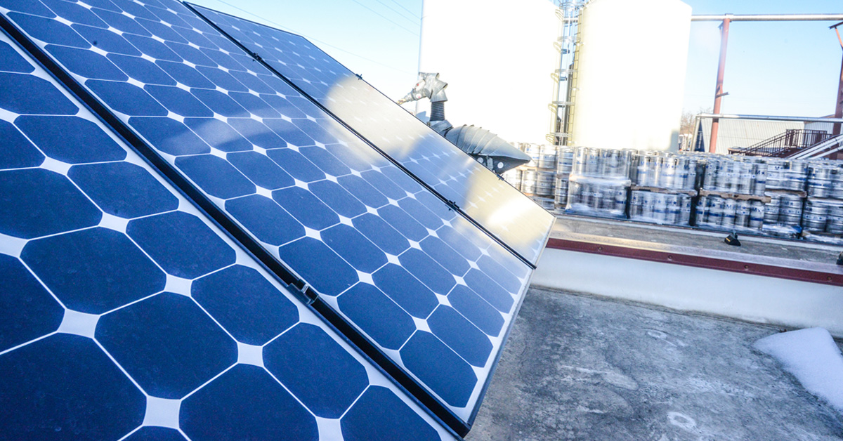 solar panels at brewery x