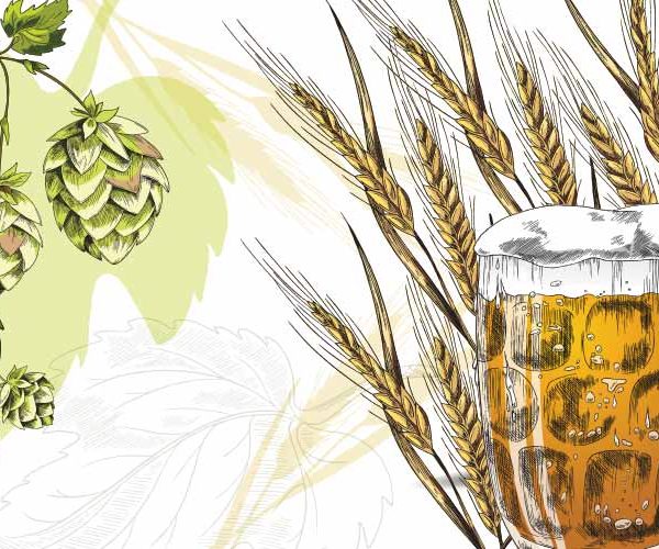 The New Brewer World Barley and Hop Harvests