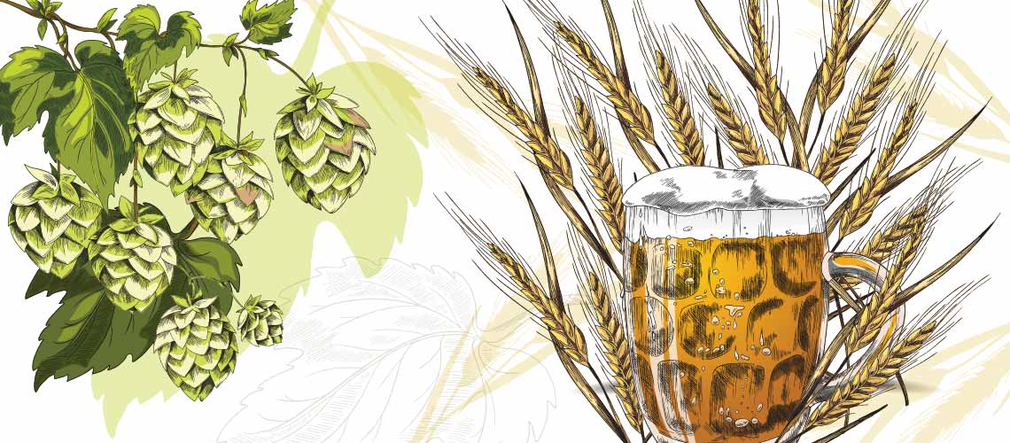 The New Brewer World Barley and Hop Harvests