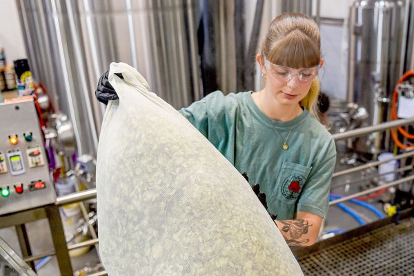 woman adding hops during brewing process